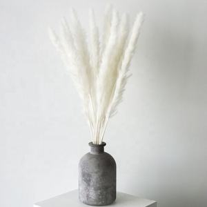 O-033 Pampas Secas Blancas Pequeñas Personalizadas, Populares, Esponjosas, Naturales y Silvestres - Product Image 4