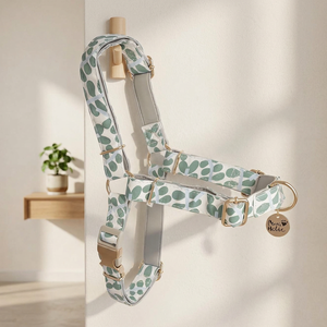 Elegant Stylish <b>No</b> <b>Pulling</b> Custom Printed Cotton Dog <b>Harness</b> Lovely Luxury Fashion Pet <b>Harnesses</b> Personalized OEM ODM Wholesale - Product Image 1