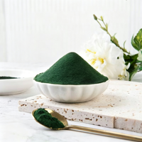 Extrait végétal hydrosoluble de qualité alimentaire, poudre de polysaccharide de spiruline avec phycocyanine, 60% de protéines, 1 kg en fût, complément alimentaire