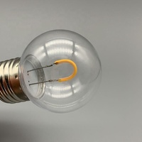 G45 1W LED Ampoule décorative 110V 240V Ampoule définie par l'utilisateur G45 Plastic Wreath Lamp Filament Outdoor Light Chain