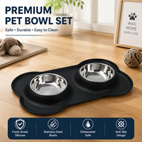 Bols pour chiens et chats en acier inoxydable double paroi avec logo personnalisé et tapis d'alimentation en silicone en forme d'os pour nourriture et eau pour animaux de compagnie