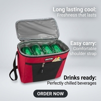 Sac isotherme de plage, de pique-nique, pour le vin, la bière, le lait maternel, le déjeuner, les aliments, les voyages, avec logo personnalisé, imperméable, doux et isolé