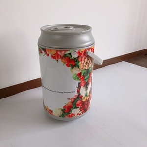 HS Plastic Colorful <strong>Painted</strong> Beer Can Ice Chest for Camping Picnic Sports Hard <strong>Cooler</strong> with logo Promotion Food <strong>Cooler</strong> - Product Image 4
