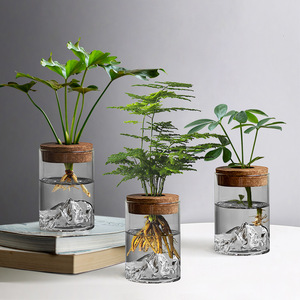 Planta hidropónica Planta en maceta pequeña Botella de vidrio de escritorio de oficina Adornos de plantas verdes Botella con vista a la montaña Florero pequeño - Product Image 1