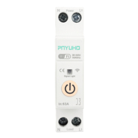 Interrupteur intelligent WIFI TUYA Ewelink 1P 63A 220V avec compteur d'énergie, mini disjoncteur intelligent en plastique avec minuterie et relais pour 110V/220V