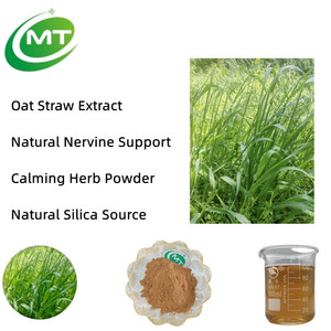 <span class=keywords><strong>Avena</strong></span> Sativa Premium - Polvo Soluble en Agua para Bebidas Funcionales, Extracto de Paja de <span class=keywords><strong>Avena</strong></span> para Formulaciones de Bebidas Saludables - Product Image 2