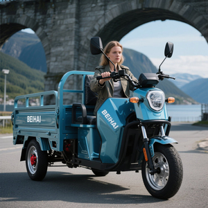 Forte capacità di carico dell'azienda agricola a tre ruote Cargo elettrico diretto in fabbrica - Product Image 5