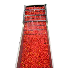 small scale canned tomato paste processing plant