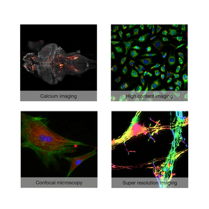 <span class=keywords><strong>TE</strong></span>-cooling 100fps 2048x2048 4.2MP USB3.0/CameraLink Ultraviolet QE 94% @ 550nm Caméra UV pour Microscopie à feuille de lumière - Product Image 4