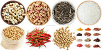 Machine de torréfaction de grande capacité pour piments et cumin, séchoir à herbes, équipement de traitement des pois chiches