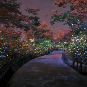 Luz láser giratoria para efectos de iluminación de árboles y espectáculos festivos al aire libre - Product Image 1