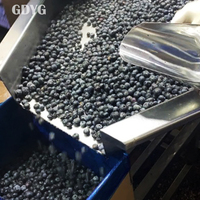 Hoge Anthocyanine/Bulkverpakking/Private Label/OEM Beschikbaar/Antioxidantrijk/Smoothies/OEM Maatwerk/Exportkwaliteit Diepvries Blauwe Bessen