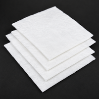 Géotextile non tissé aiguilleté en polyester, tissu géotextile en PET pour le drainage des routes et des décharges