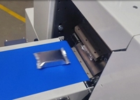 Ligne d'équipement d'emballage de biscuits automatique personnalisée Skywin