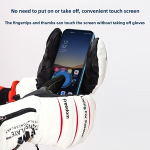 Gants isolés chauds d'usine pour l'hiver, pour hommes et femmes, imperméables, compatibles écran tactile, coupe-vent, doublés polaire pour le snowboard et le <span class=keywords><strong>ski</strong></span> - Product Image 4