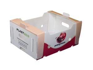 Caja de Plástico Corrugado de Polipropileno Coroplast al Mejor <span class=keywords><strong>Precio</strong></span>, para Empaque de Tomates Frescos y Uvas, Apilable, para Almacenamiento y Transporte de Frutas - Product Image 1