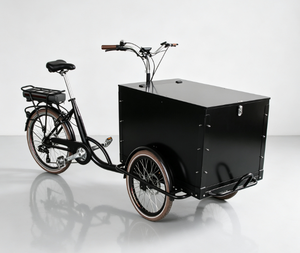 Kommerzielles Elektrisches Eiscreme-Dreirad |   Mobiler Eisverkaufswagen mit Fahrrad |   Lebensmittel-Lastendreirad - Product Image 1