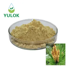 Hot Selling Shell-broken Bulk Powder Pine Pollen Extract Pine Pollen Powder Organic