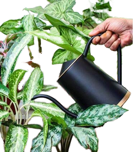 Arrosoir en métal jaune de 1,5 L avec long bec verseur |   Arrosoir pour plantes de jardin intérieur et extérieur - Product Image 1