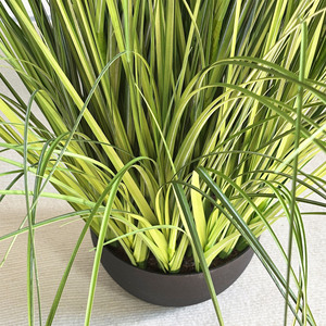 120cm Artificielle <span class=keywords><strong>Oignon</strong></span> Herbe Faux Vert Plante En <span class=keywords><strong>Pot</strong></span> Artificielle <span class=keywords><strong>Oignon</strong></span> Herbe Dans Un <span class=keywords><strong>Pot</strong></span> Pour La Décoration - Product Image 5