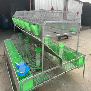 China Best Supplier European Style Rabbit Outdoor Cages Commercial Rabbit cages