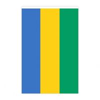Fabricant en gros de guirlandes de drapeaux du Gabon avec taille et motif personnalisés pour la décoration