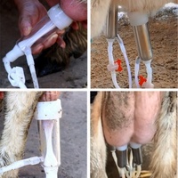 Machine à traire automatique à pulsation pour vaches laitières, chèvres et moutons, portable, électrique, 3L, 5L, 10L