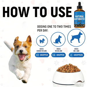 Antibiótico Líquido Herbal para Perros, Alivio de Picazón por Alergia, Salud de la Piel y el Pelaje, Apoyo Digestivo, Todas las Razas, Todas las Edades, 60 ml - Product Image 4