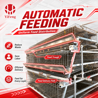 Système de cages à poules pondeuses de type A à 4 niveaux avec abreuvement automatique, bande de collecte de fumier, collecte d'œufs, abreuvoir à tétine en acier galvanisé