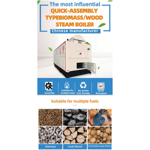 Chaudière à vapeur horizontale à biomasse solide DZH de 3 tonnes, à faible coût, à granulés de <span class=keywords><strong>bois</strong></span>, avec grille mobile pour usage industriel, y compris pour la palmier - Product Image 5