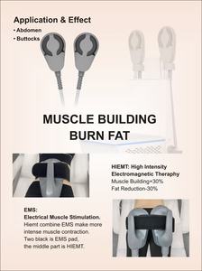 Appareil Hiems Body Shape Sculpting Hiemt Pro pour la musculation et l'entraînement des muscles du plancher pelvien - Product Image 3