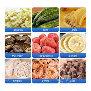 OCEAN Vegetal Melocotón Ajo Carne Lypholizer Large 500kg 1000kg 2000kg Máquina liofilizadora para comida para perros - Product Image 6