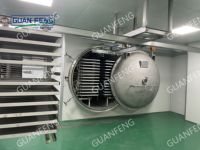 Liofilizador de Frutas y Verduras, Máquina de Secado por Congelación al Vacío para Alimentos, Máquina de Cebolla Liofilizada con Descongelación Alternada
