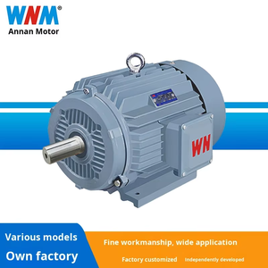 Wannan <span class=keywords><strong>Electric</strong></span> Série YE4 Moteur asynchrone triphasé à très haut rendement | Efficacité IE4 | 380V | 1000r/min - Product Image 4