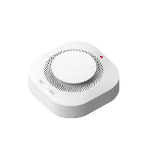 Alarme de sécurité incendie détecteur de fumée capteur autonome WIFI téléphone Mobile App contrôle batterie sonore domestique