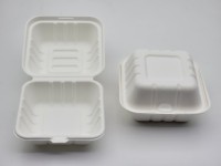 Assiettes jetables rondes en bagasse de canne à sucre, vaisselle compostable et écologique pour fêtes et pique-niques
