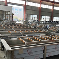Machine industrielle commerciale ANXU 220V, neuve, pompe à engrenages pour épluchage et lavage, haute efficacité, pour pommes de terre, curcuma, gingembre, fruits