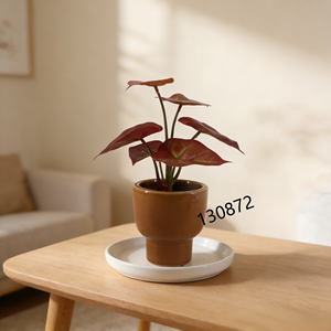 <span class=keywords><strong>ต้น</strong></span>คาลเลเดียม<span class=keywords><strong>สี</strong></span><span class=keywords><strong>แดง</strong></span>เข้มประดิษฐ์ในกระถางเซรามิก<span class=keywords><strong>สี</strong></span>อำพัน <span class=keywords><strong>ต้น</strong></span>ไม้ปลอมดูแลง่ายสำหรับบ้านสไตล์โมเดิร์นกลางศตวรรษ - Product Image 2