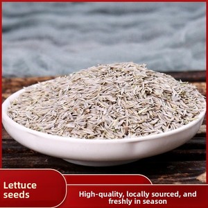 Premium Dried Lettuce Seeds (<strong>Bai</strong> Jusheng) 500g Natural Herbal for Lactation &amp; Kidney Health Wholesale - Product Image 2
