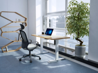 Bureau debout OMNI de qualité commerciale, structure en acier inoxydable, plateau en bois, design moderne, poste de travail réglable en hauteur, fixation murale