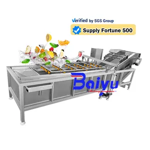 Baiyu industrial fruit washing drying sorting machine industrial brush and spray fruit washing machine for fruit and seeds