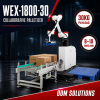 Robot logistique d'entrepôt, palettiseur 30 kg avec ventouse pour le chargement de palettes dans les centres de distribution de cartons