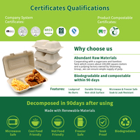 Conteneur alimentaire jetable en bagasse de papier biodégradable, écologique, résistant à la graisse, micro-ondable, à 2 compartiments, 900 ml