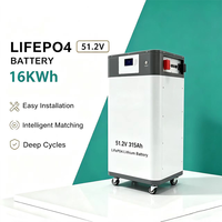 Batteries au lithium-ion pour stockage d'énergie solaire domestique murales 5kwh 10kwh 16kwh 20kwh 30kwh 40kwh 100kwh, pack de batteries Lifepo4 48v