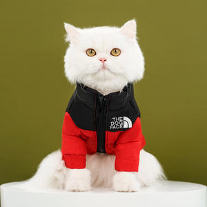 Otoño Invierno cálido abrigo de algodón para perros chaqueta pequeña ropa para gatos estilo clásico directo al por mayor fabricante suministros para gatos de peluche - Product Image 4