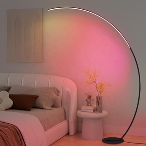 <span class=keywords><strong>Lampadaire</strong></span> LED au design moderne et épuré, corps en fer, pour salon et chambre, lumière d'ambiance, lampe sur pied - Product Image 2