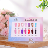 BORN PRETTY Nuancier professionnel de vernis gel UV 6/12/42 couleurs pour salon