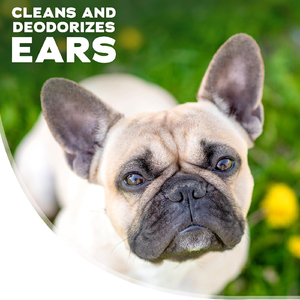 <span class=keywords><strong>Nettoyant</strong></span> <span class=keywords><strong>Auriculaire</strong></span> Marque Blanche pour Chiens et Chats – Rinçage Otique pour Infections et Contrôle des Odeurs Auriculaires – Traitement de Soin pour Animaux de Compagnie - Product Image 2