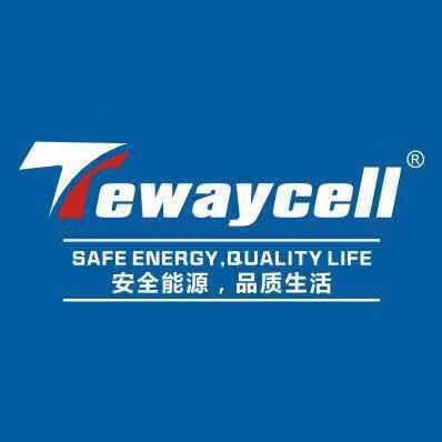 Shenzhen Topway New Energy Co., Ltd. logo