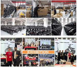 Vélo électrique EU Warehouse 250W EB30, vélo de route électrique 48V, double batterie, autonomie 100 km, pneus larges 20 pouces, Fatbike - Product Image 6